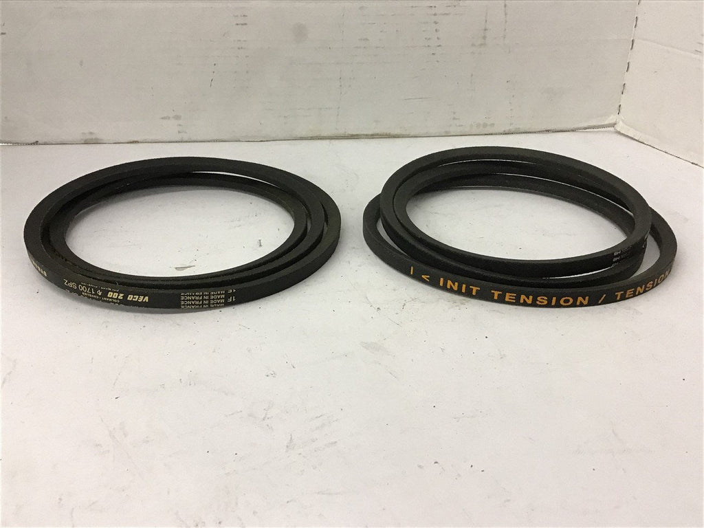Dynam Veco 200 1700 SPZ Belt Lot of 2
