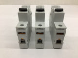 Allen-Bradley 1491-SP Circuit Breaker 1 Pole 277 VAC 240/415 V 10 kA Lot Of 3