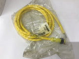 Brad Connectivity 1300060162 12' Cord Set 2P male Straight 16/2 Awg