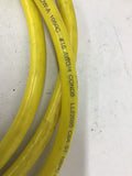 Woodhead Brad Harrison E31793 16 AWG 5' L and 3' L Lot Of 2