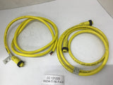 Daniel Woodhead 41277+ Cable 600 V 8 Amps 9' L Lot of 2