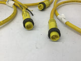 Daniel Woodhead E31793 Cable 3' L Lot Of 3