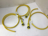 Daniel Woodhead E31793 Cable 3' L Lot Of 3