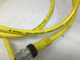 Daniel Woodhead/ Brad Harrison 411121 Saftey Yellow Cable 600 V 8 Amps 12'