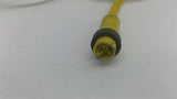 Micro Switch BAF1-3CN18X1 With BH E31793 #16 AWG/3 Cable