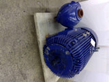 Reliance 1MAF42695 250 Hp AC Motor 1800 Rpm 4P 3Ph 449TS 480V TEFC 60Hz