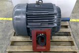 Marathon FL 365 TT GS 7036HG WFT AC Motor 75 HP 1800 RPM 365T 230/460 V TEFC