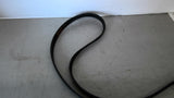 Jason 490 J 18 173 Belt