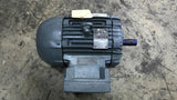 Weg 00518XP3E184T 5HP AC Motor 1800RPM 4P 3 Phase 184T 208-230/460V 184T TEFC