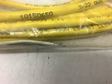 Turck RKV 4.2T-5/S748 Fast Cable 300V