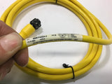 Allen-Bradley 889F-F4AEA-2 300 Volts 4 Amps Cable