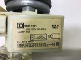 Square D 9001KM1 2 Position Illuminated Selector Switch