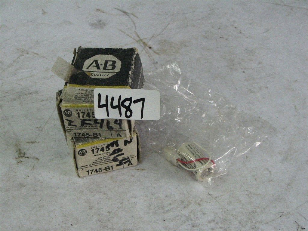 2 Allen Bradley Bulletin 1745 Memory Modules 1745-B1 Series A 1745B1