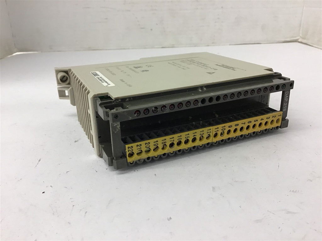 Schneider Automation DAP218/AS-BDAP-218 230 Vac Output Module