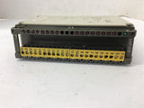 Schneider Automation DAP218/AS-BDAP-218 230 Vac Output Module