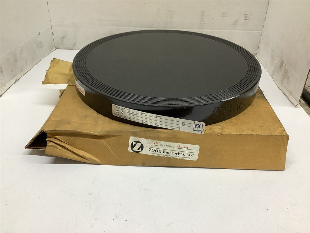 Zook 64198.010 Graphite Rupture Disk 10" 1MY1P1X10X2X240