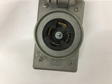 Crouse-Hinge Plug Cover