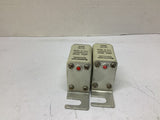 Bussmann 170E3846 Fuse 100 A 900 V Lot Of 2