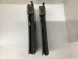 Allen-Bradley 1771-0AD Ser C AC Output Module 10-138 VAC Lot Of 2