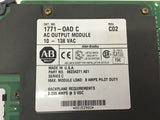 Allen Bradley 1771OADC AC Output Module REV CO2 10-138 VAC