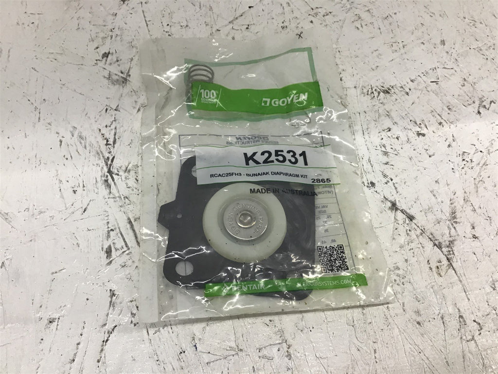 Goyen K2531 RCAC25FH3 BUNA/AK Diaphragm 2865