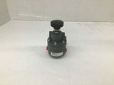 Siemens 41-100 Pressure Regulator