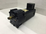 RAE 4026056 1/12HP DC Motor 100 Rpm 90 V DC TENV